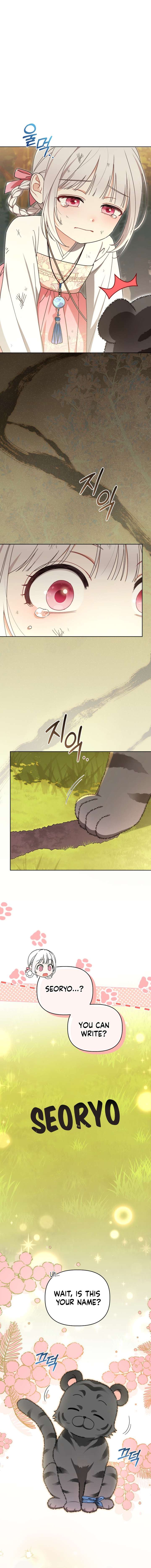 The White Tiger Clan’s Baby Cotton Ball Chapter 17 page 13