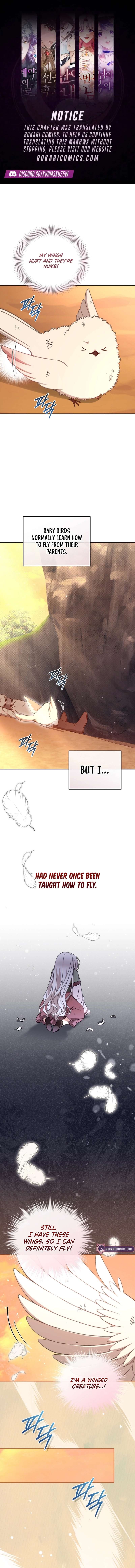 The White Tiger Clan’s Baby Cotton Ball Chapter 31 page 1