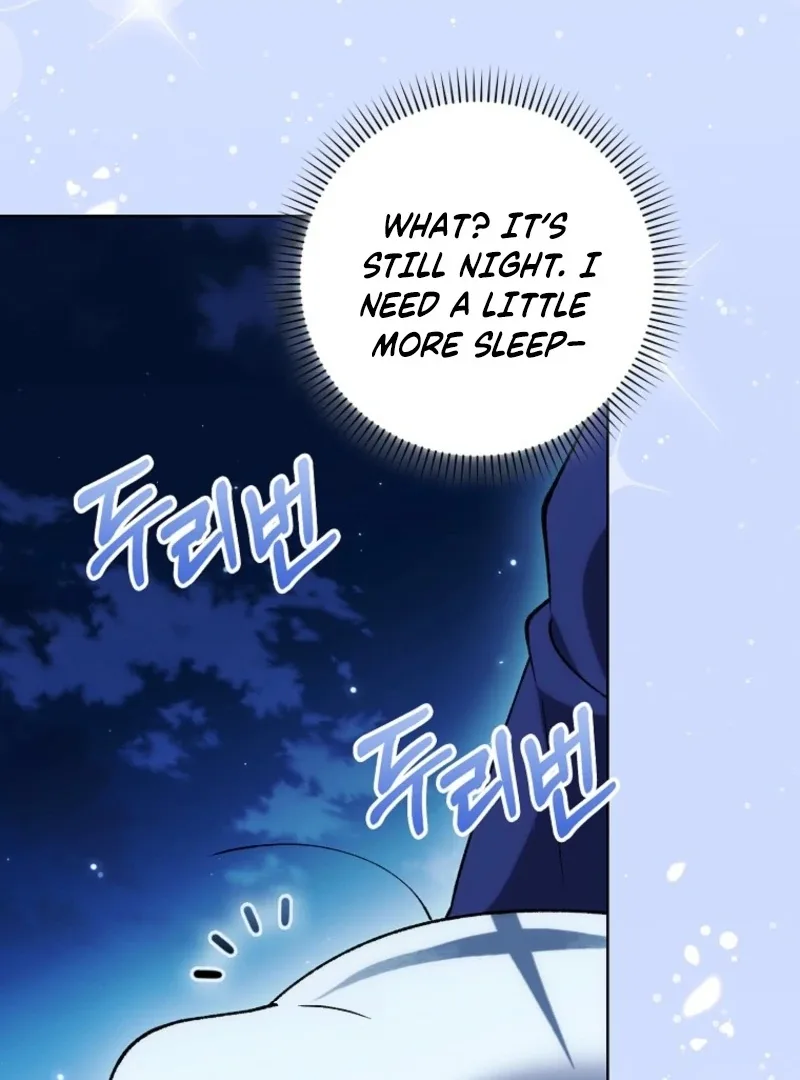 The White Tiger Princess is Not Dangerous Chapter 14 page 13