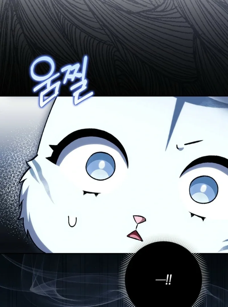 The White Tiger Princess is Not Dangerous Chapter 14 page 37