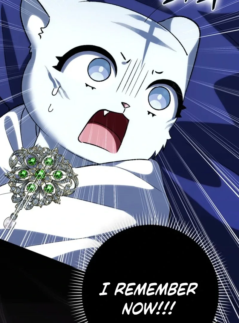 The White Tiger Princess is Not Dangerous Chapter 14 page 66