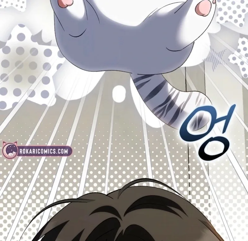 The White Tiger Princess is Not Dangerous Chapter 16 page 35