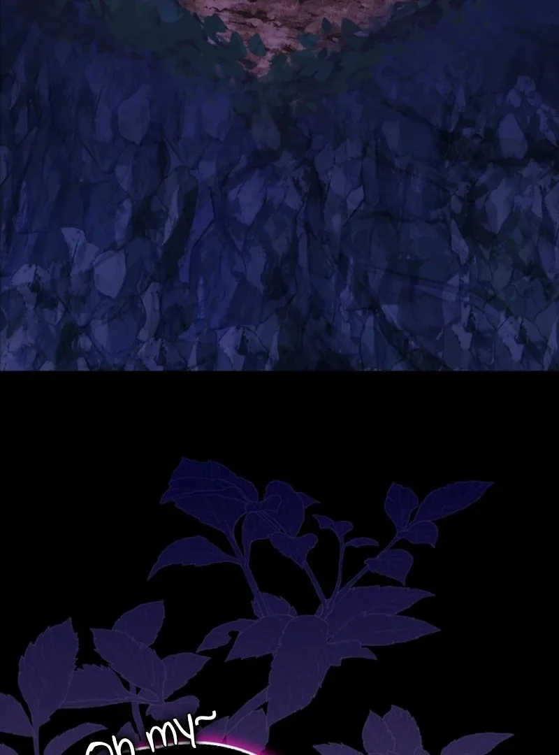 The White Tiger Princess is Not Dangerous Chapter 17 page 4