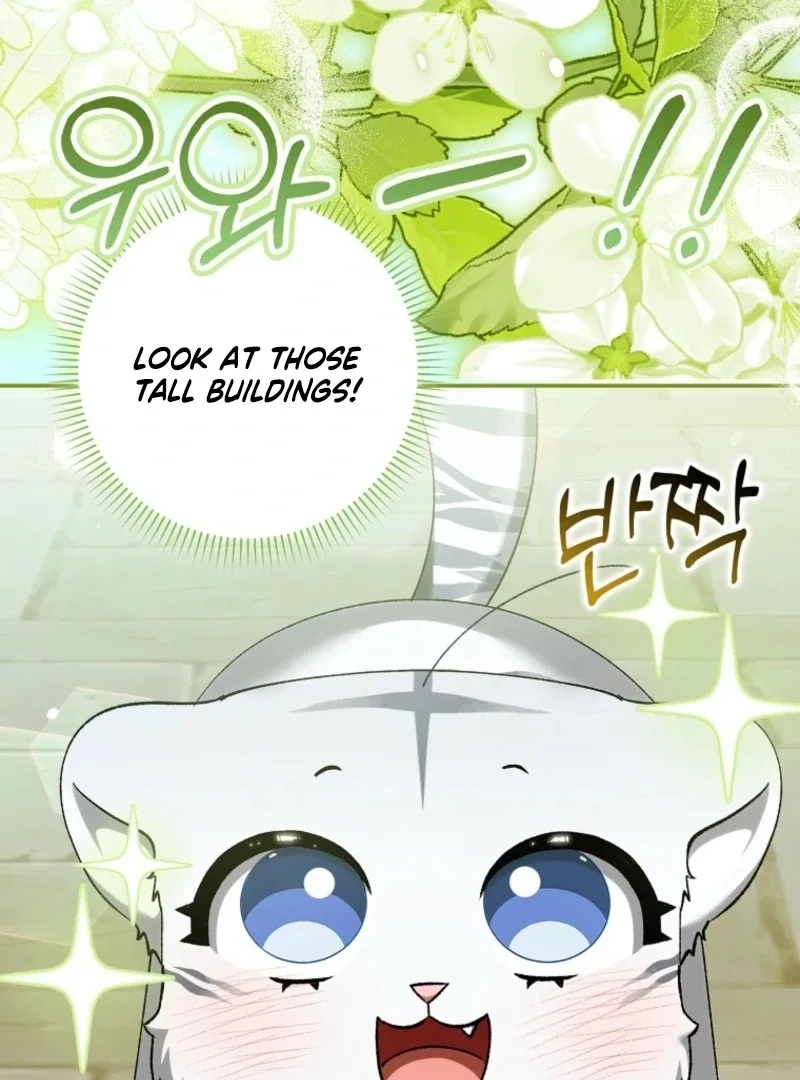The White Tiger Princess is Not Dangerous Chapter 17 page 41