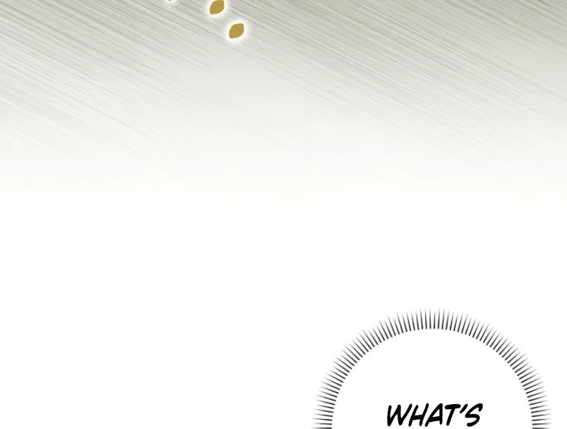The White Tiger Princess is Not Dangerous Chapter 18 page 27