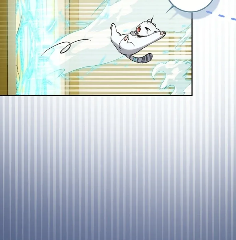 The White Tiger Princess is Not Dangerous Chapter 18 page 8