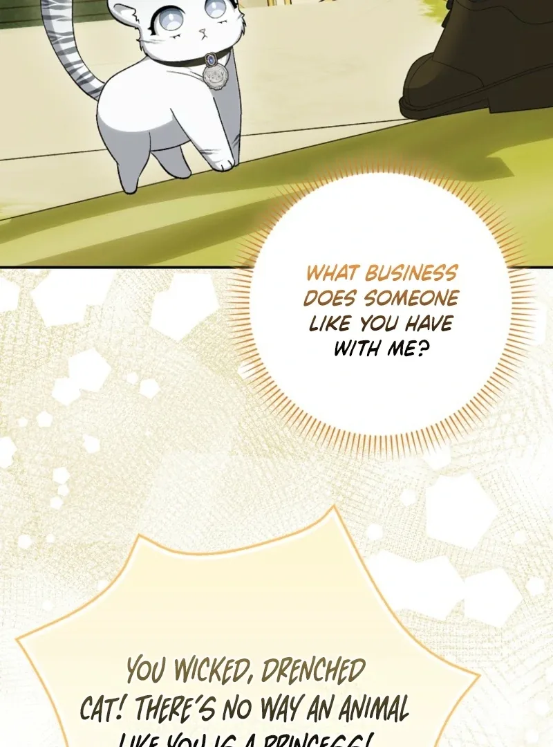 The White Tiger Princess is Not Dangerous Chapter 18 page 31