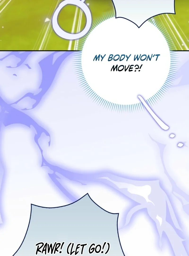 The White Tiger Princess is Not Dangerous Chapter 18 page 45