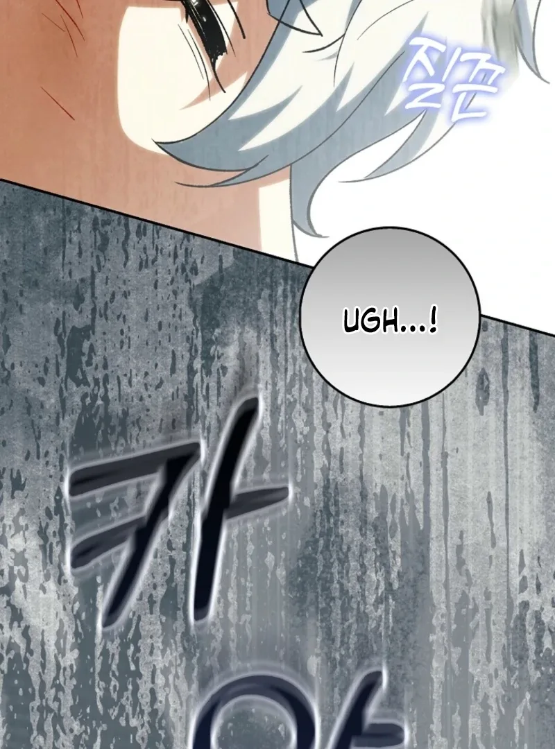 The White Tiger Princess is Not Dangerous Chapter 18 page 93
