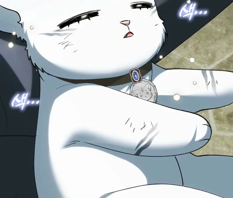 The White Tiger Princess is Not Dangerous Chapter 18 page 110