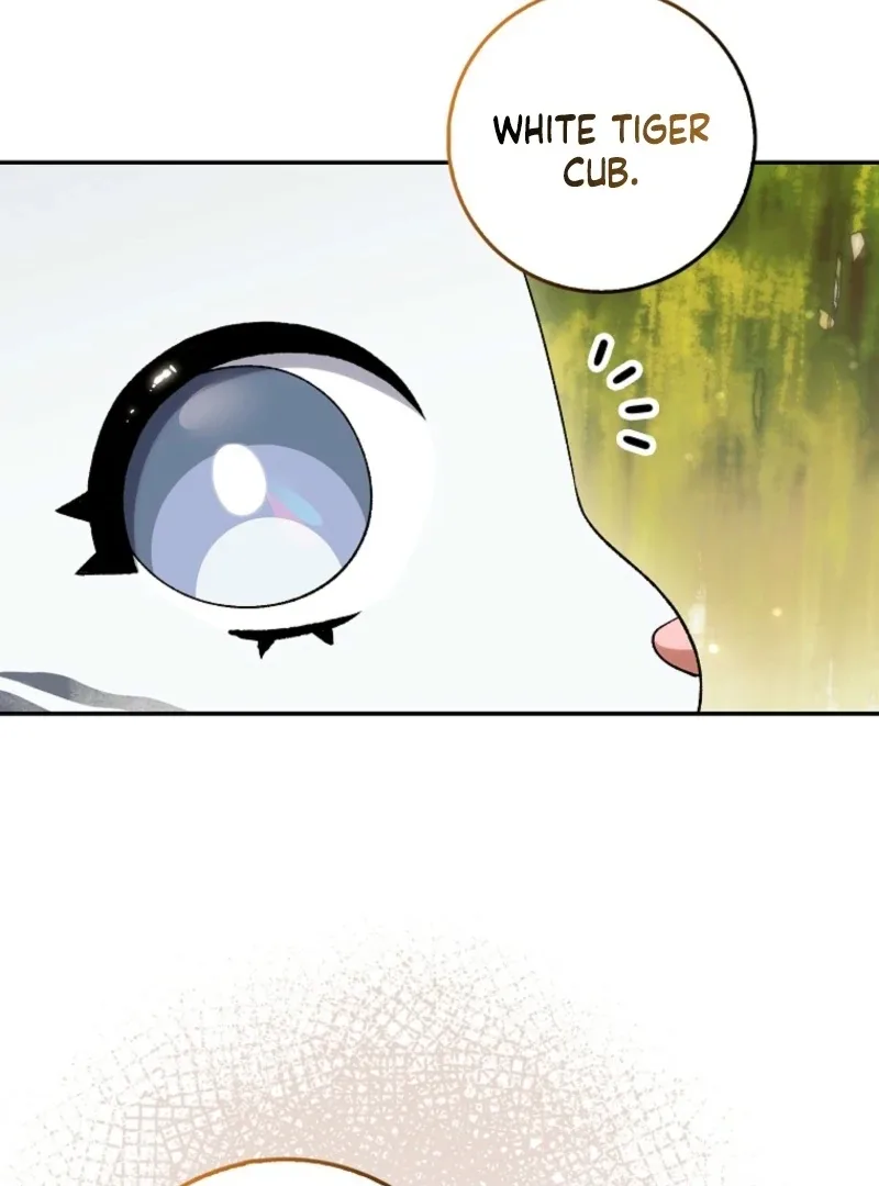 The White Tiger Princess is Not Dangerous Chapter 19 page 11