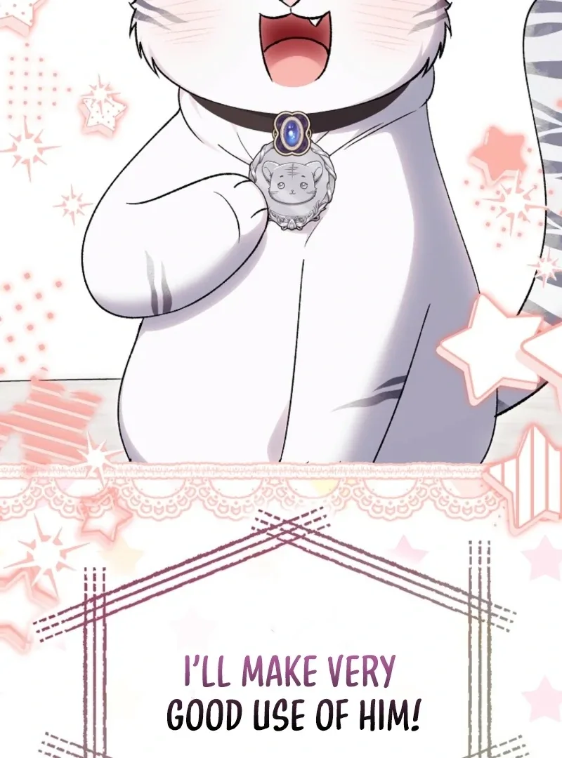 The White Tiger Princess is Not Dangerous Chapter 19 page 16