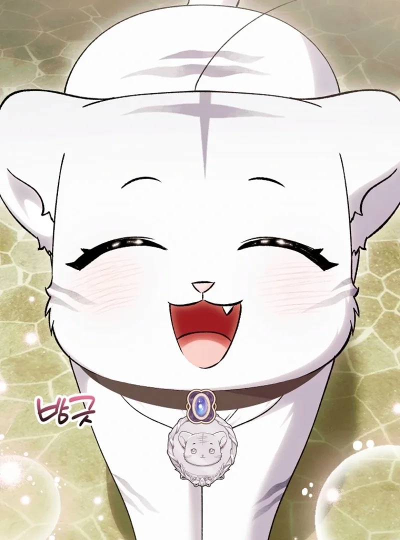 The White Tiger Princess is Not Dangerous Chapter 19 page 47