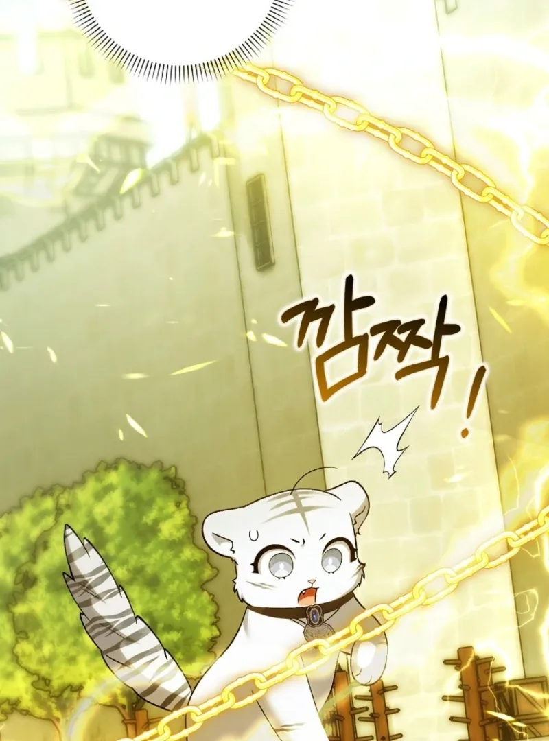 The White Tiger Princess is Not Dangerous Chapter 20 page 73