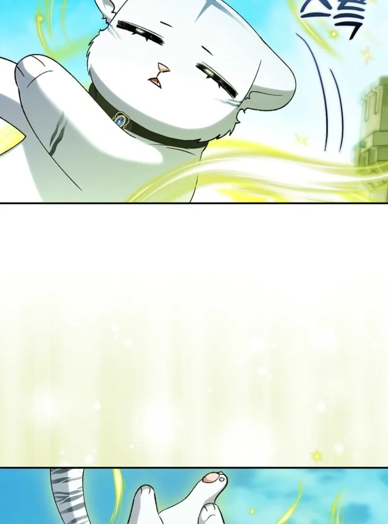 The White Tiger Princess is Not Dangerous Chapter 20 page 92
