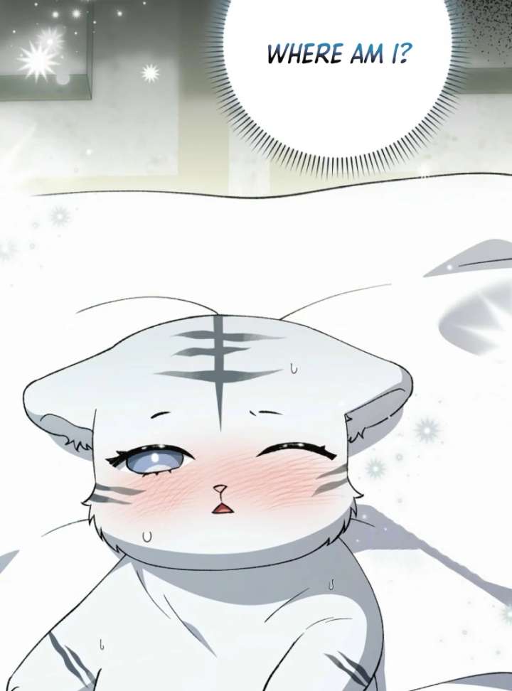 The White Tiger Princess is Not in Danger Chapter 10 page 7