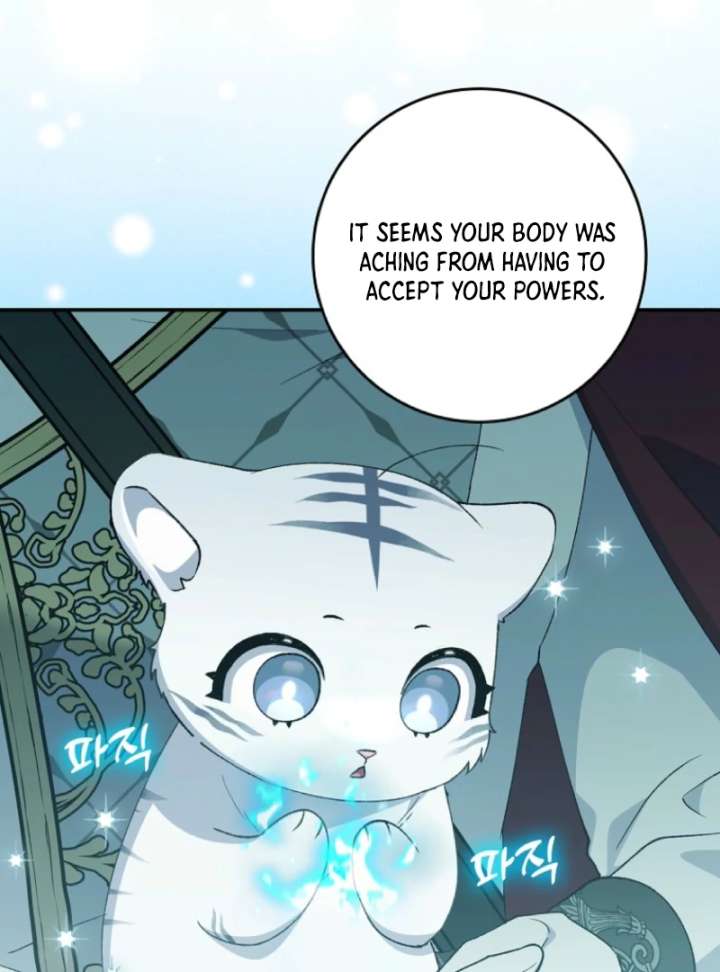 The White Tiger Princess is Not in Danger Chapter 10 page 40