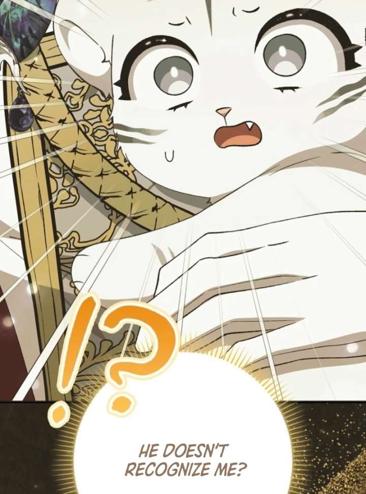 The White Tiger Princess is Not in Danger Chapter 10 page 70