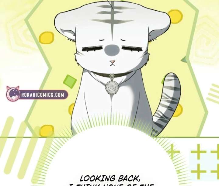 The White Tiger Princess is Not in Danger Chapter 16 page 10