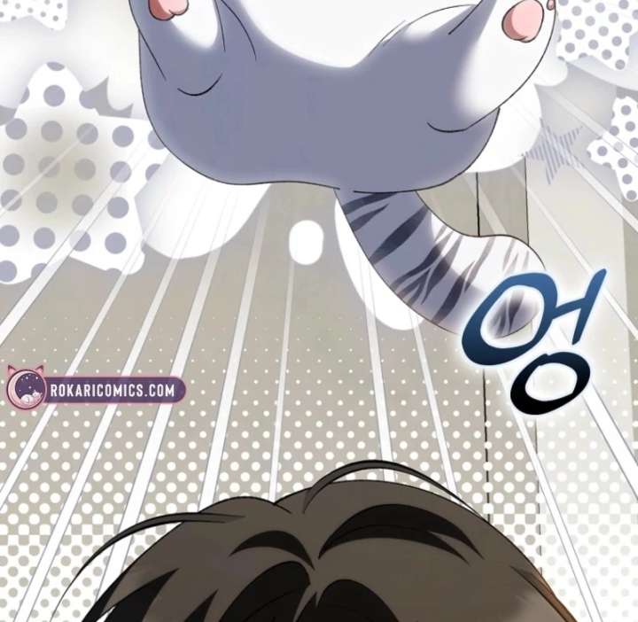 The White Tiger Princess is Not in Danger Chapter 16 page 37