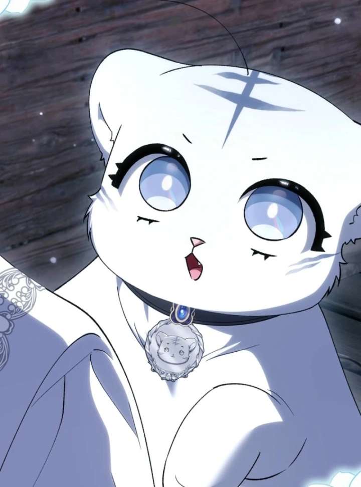 The White Tiger Princess is Not in Danger Chapter 16 page 84
