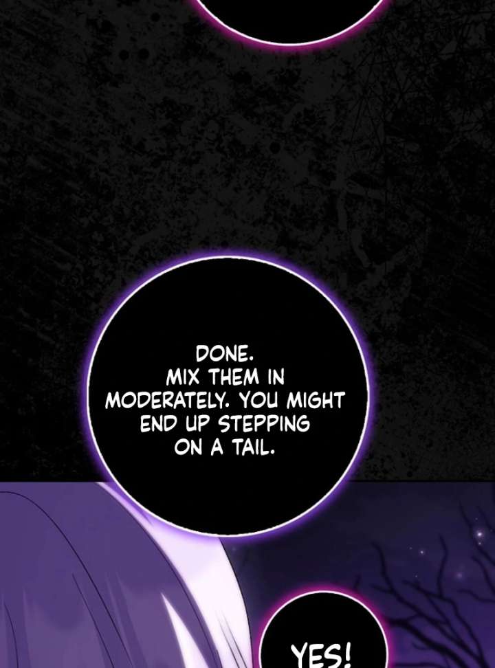 The White Tiger Princess is Not in Danger Chapter 17 page 9