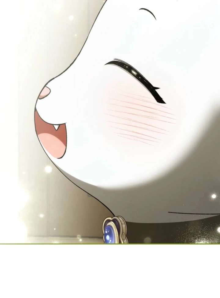 The White Tiger Princess is Not in Danger Chapter 17 page 36