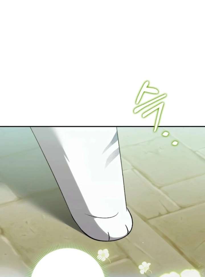 The White Tiger Princess is Not in Danger Chapter 17 page 37