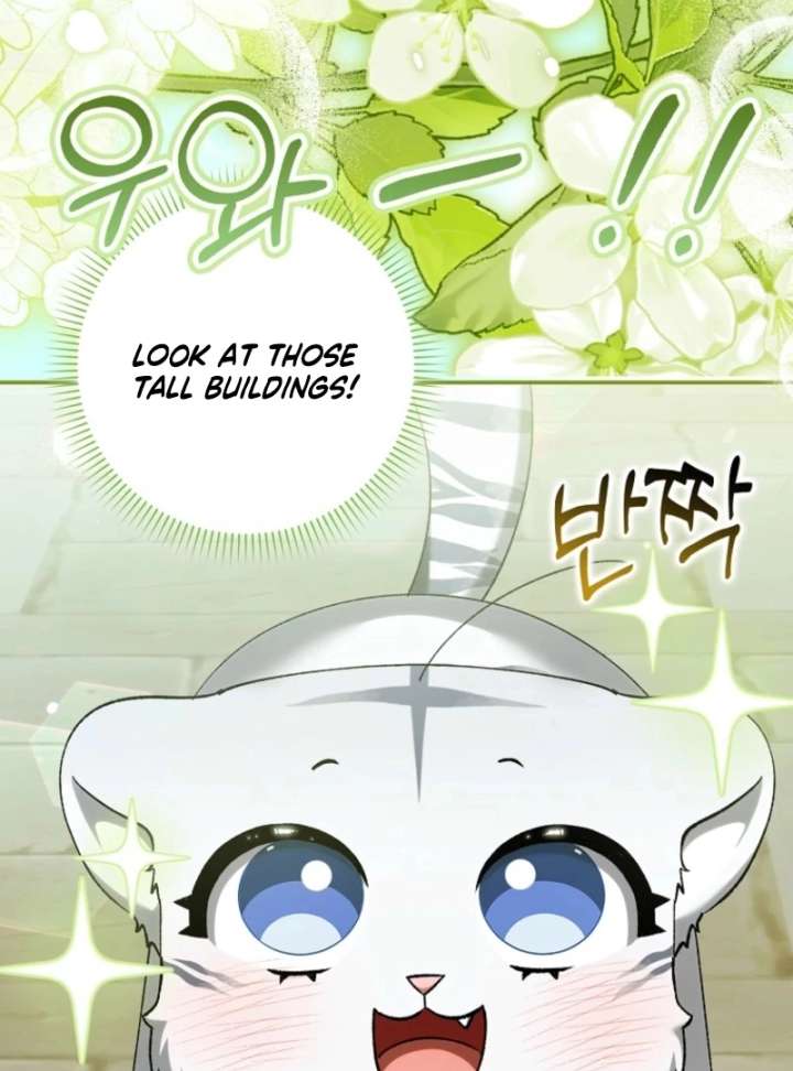 The White Tiger Princess is Not in Danger Chapter 17 page 43