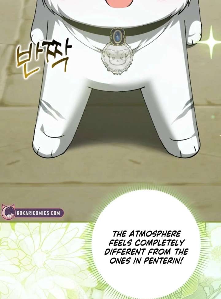 The White Tiger Princess is Not in Danger Chapter 17 page 44