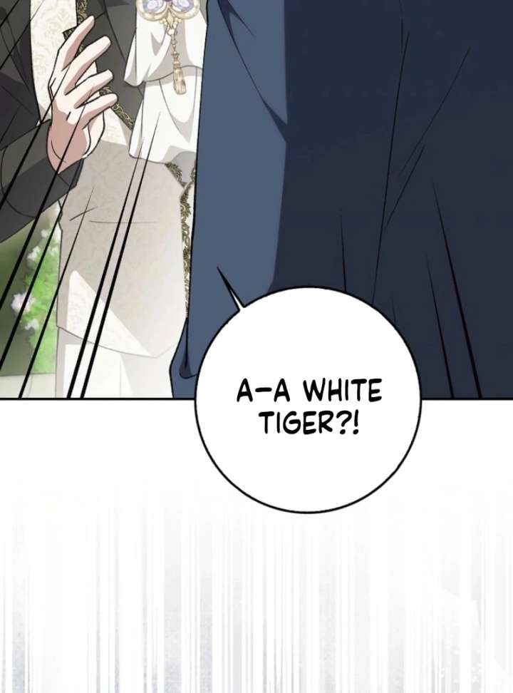 The White Tiger Princess is Not in Danger Chapter 17 page 71