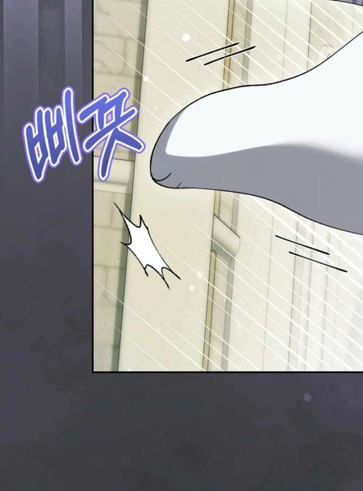 The White Tiger Princess is Not in Danger Chapter 17 page 73