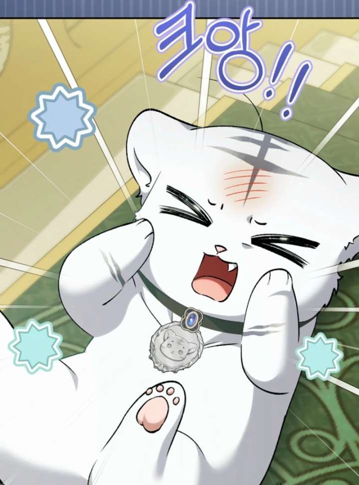 The White Tiger Princess is Not in Danger Chapter 18 page 11