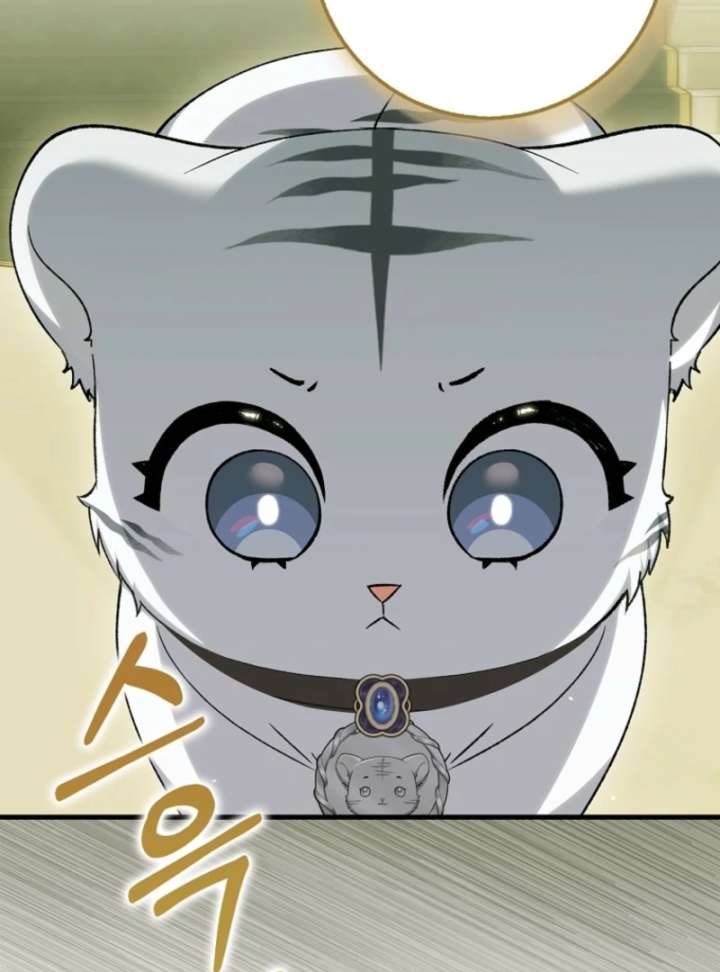 The White Tiger Princess is Not in Danger Chapter 18 page 28