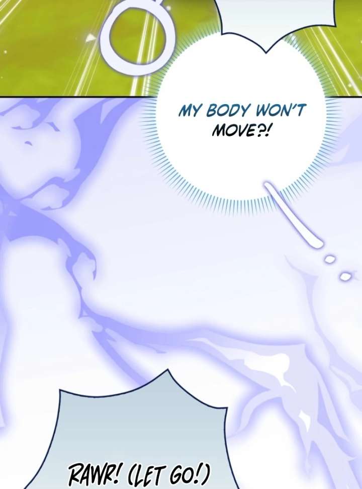 The White Tiger Princess is Not in Danger Chapter 18 page 47