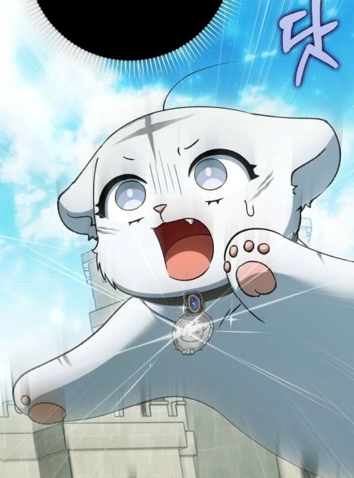 The White Tiger Princess is Not in Danger Chapter 18 page 91