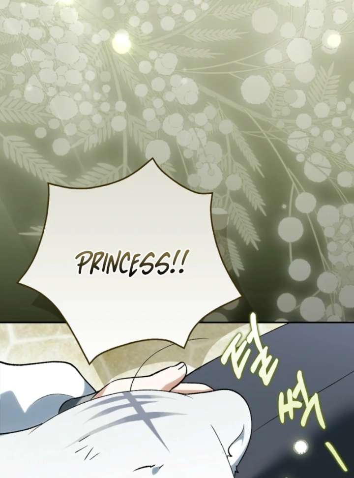 The White Tiger Princess is Not in Danger Chapter 18 page 111