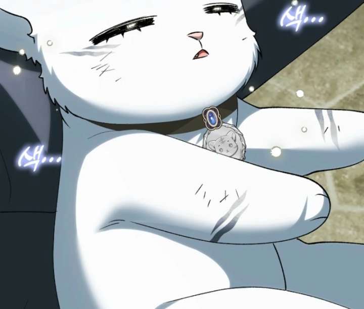 The White Tiger Princess is Not in Danger Chapter 18 page 112