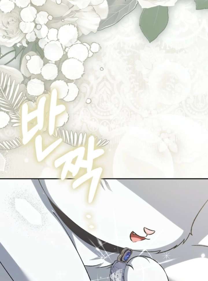The White Tiger Princess is Not in Danger Chapter 18 page 125