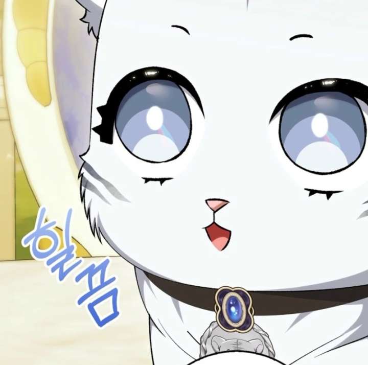 The White Tiger Princess is Not in Danger Chapter 19 page 9