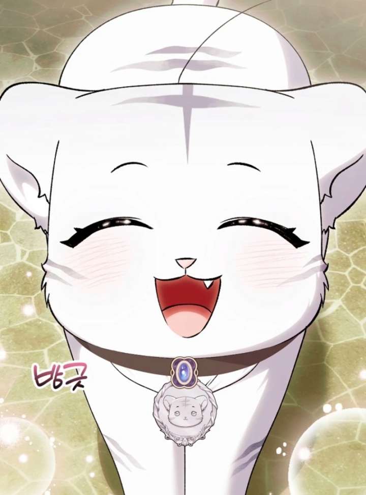 The White Tiger Princess is Not in Danger Chapter 19 page 49