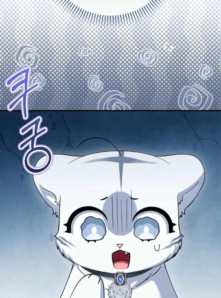 The White Tiger Princess is Not in Danger Chapter 19 page 104