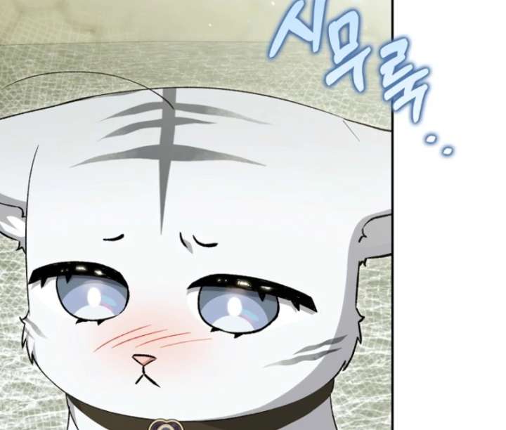 The White Tiger Princess is Not in Danger Chapter 20 page 10