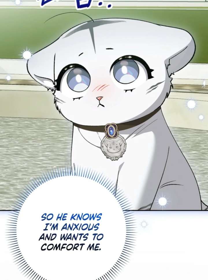 The White Tiger Princess is Not in Danger Chapter 20 page 16