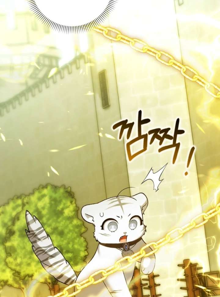 The White Tiger Princess is Not in Danger Chapter 20 page 75