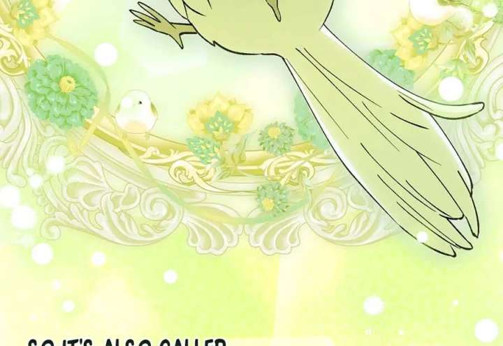The White Tiger Princess is Not in Danger Chapter 25 page 84