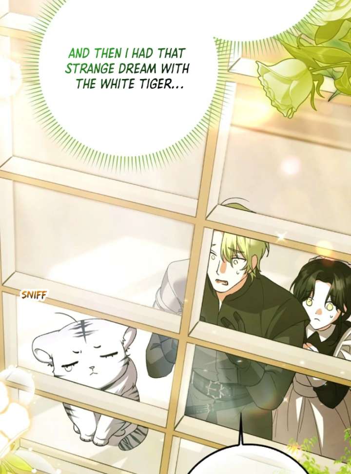 The White Tiger Princess is Not in Danger Chapter 3 page 27