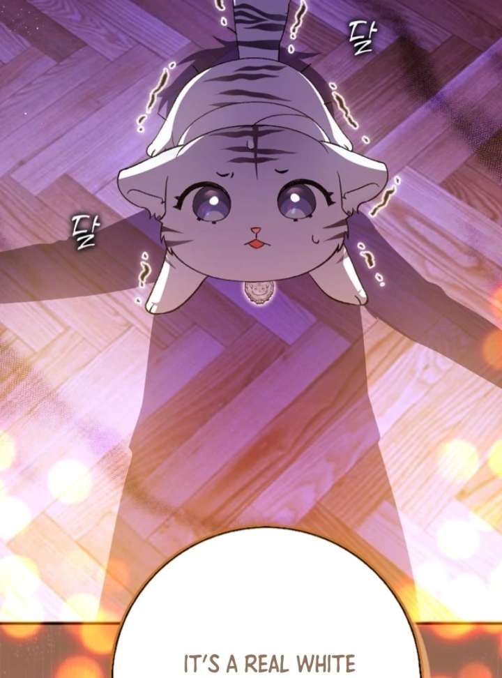 The White Tiger Princess is Not in Danger Chapter 3 page 45