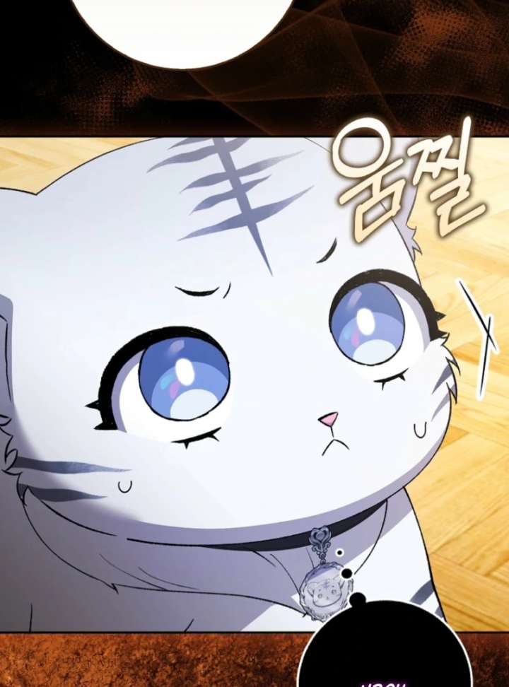The White Tiger Princess is Not in Danger Chapter 3 page 68