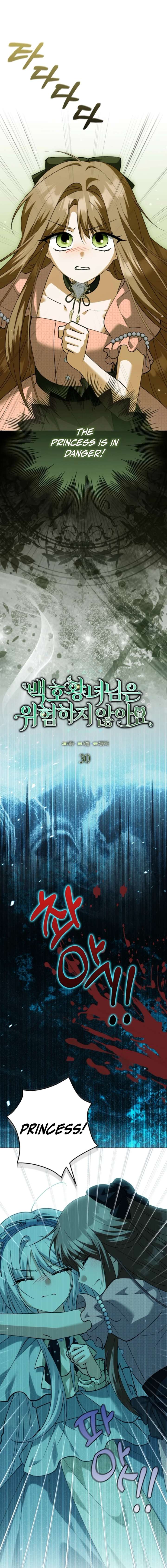The White Tiger Princess is Not in Danger Chapter 30 page 8